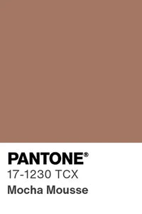 What is the Pantone Color of the Year?